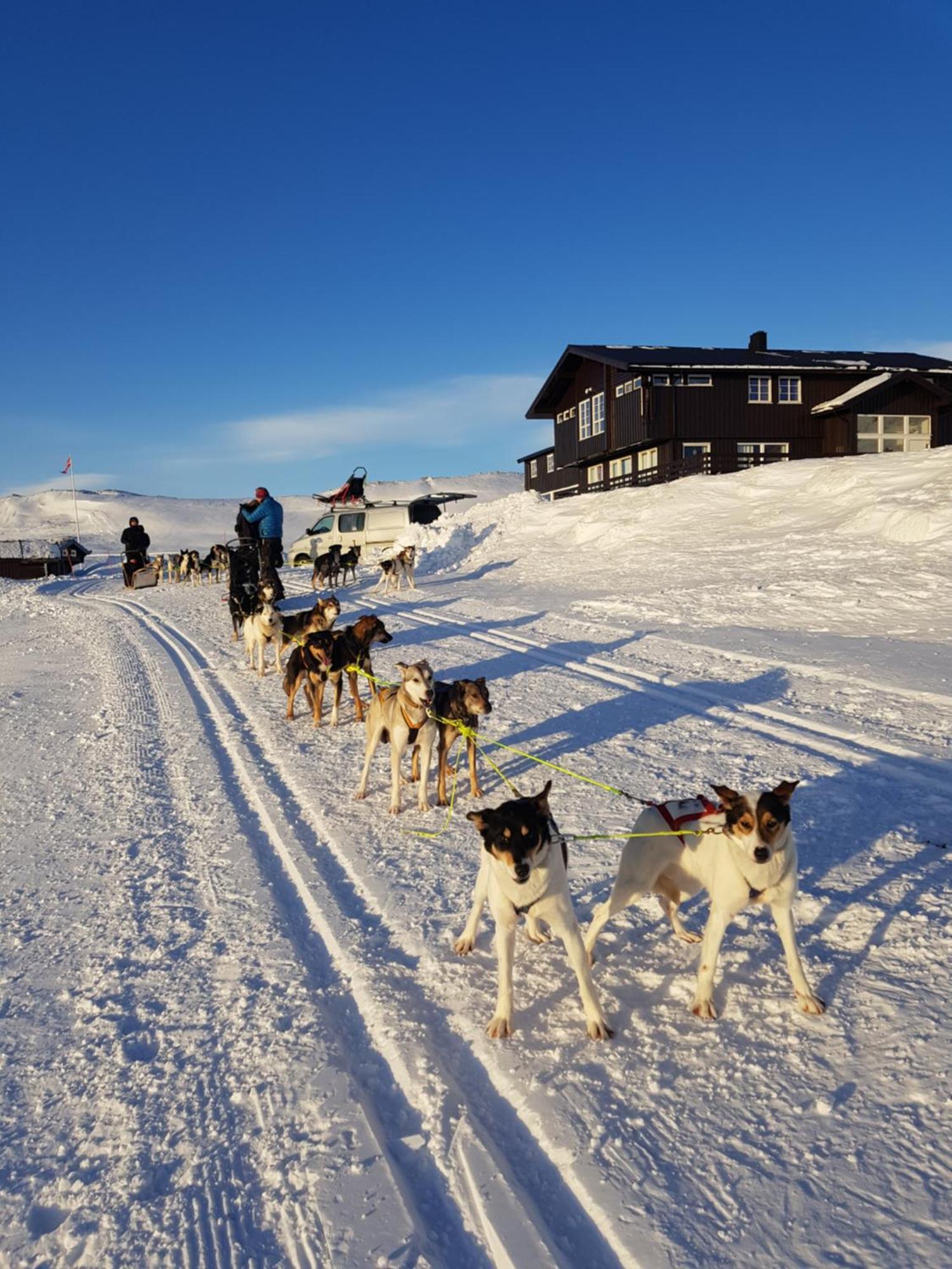 Hotel Bergsjostolen Fjellstue Exterior foto